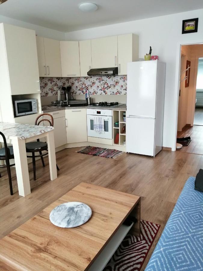 Slavik Apartment Dunajská Streda エクステリア 写真