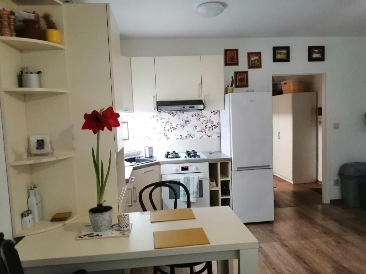 Slavik Apartment Dunajská Streda エクステリア 写真