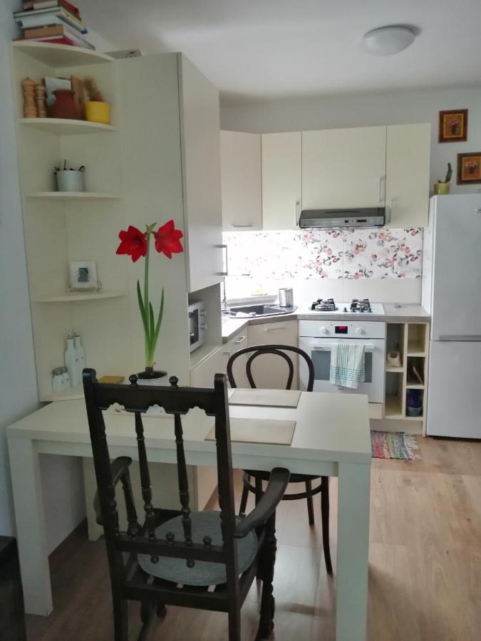 Slavik Apartment Dunajská Streda エクステリア 写真